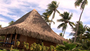 hiva_oa